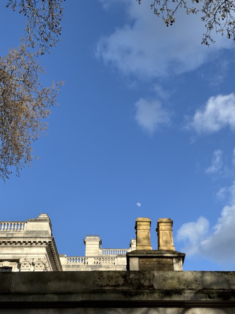 Photograph of clear blue sky over the corner of St James's Park, the moon is visible during daytime